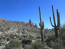 photo thumbnail #2