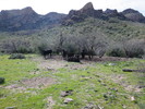 photo thumbnail #6