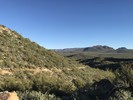 photo thumbnail #1