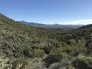 photo thumbnail #12