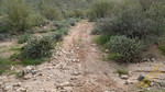 photo thumbnail #15