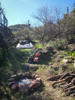 photo thumbnail #6