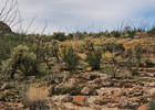 photo thumbnail #2