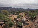 photo thumbnail #4