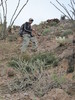 photo thumbnail #2
