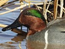 photo thumbnail #5