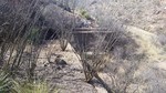 photo thumbnail #7