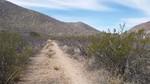 photo thumbnail #10