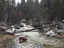 photo thumbnail #5