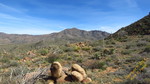 photo thumbnail #13