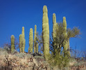 photo thumbnail #3