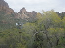 photo thumbnail #2