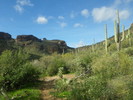 photo thumbnail #3