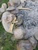 photo thumbnail #12