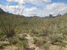 photo thumbnail #15