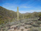 photo thumbnail #4