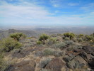 photo thumbnail #13