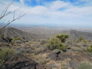 photo thumbnail #14