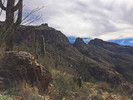 photo thumbnail #10