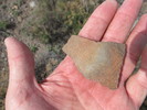 photo thumbnail #13
