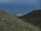 photo thumbnail #8