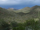 photo thumbnail #9