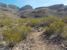 photo thumbnail #7