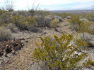 photo thumbnail #9