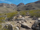 photo thumbnail #10