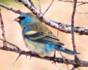 photo thumbnail #7
