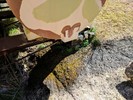 photo thumbnail #5