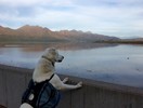 photo thumbnail #4
