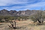 photo thumbnail #10