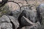photo thumbnail #13