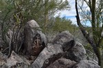 photo thumbnail #14
