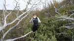 photo thumbnail #13