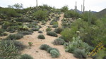 photo thumbnail #15
