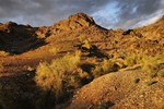 photo thumbnail #5