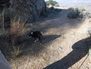 photo thumbnail #3