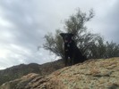photo thumbnail #6