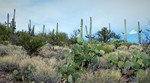 photo thumbnail #5