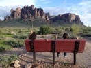 photo thumbnail #4