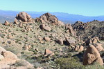 photo thumbnail #1
