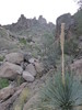 photo thumbnail #14