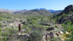 photo thumbnail #1