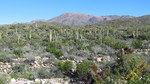 photo thumbnail #2