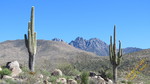 photo thumbnail #9