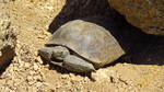 photo thumbnail #13
