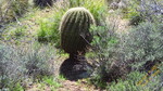 photo thumbnail #14