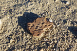 photo thumbnail #6